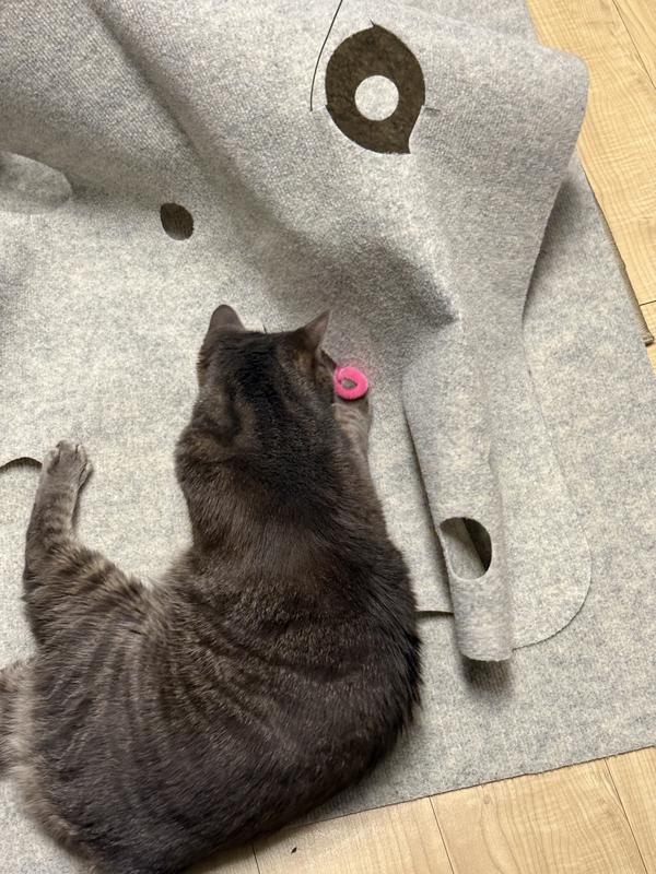 Trixie cat activity hide'n'sniff bowl kunststof