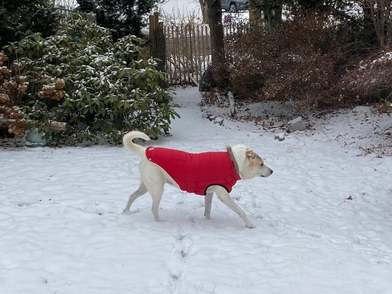 Let it snow . . .