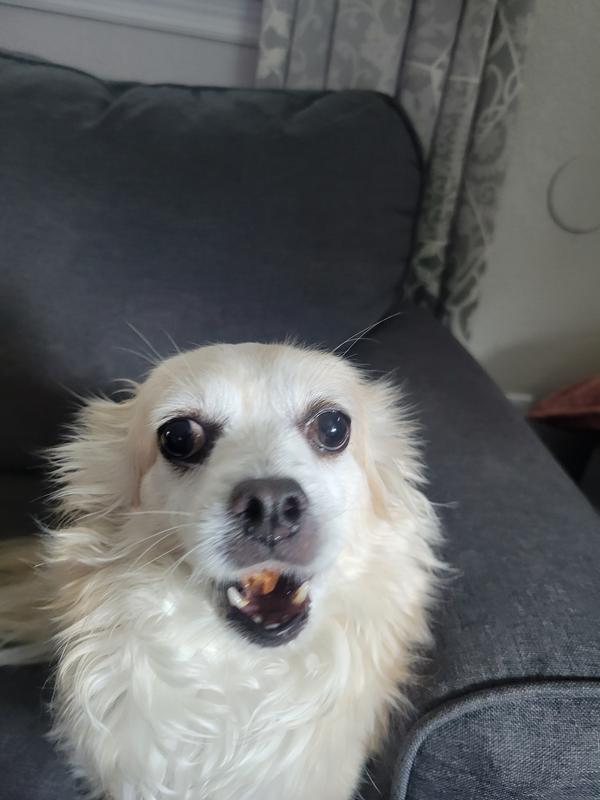 Perfect size and texture