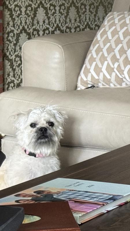 Sophie says thank you HARTZ