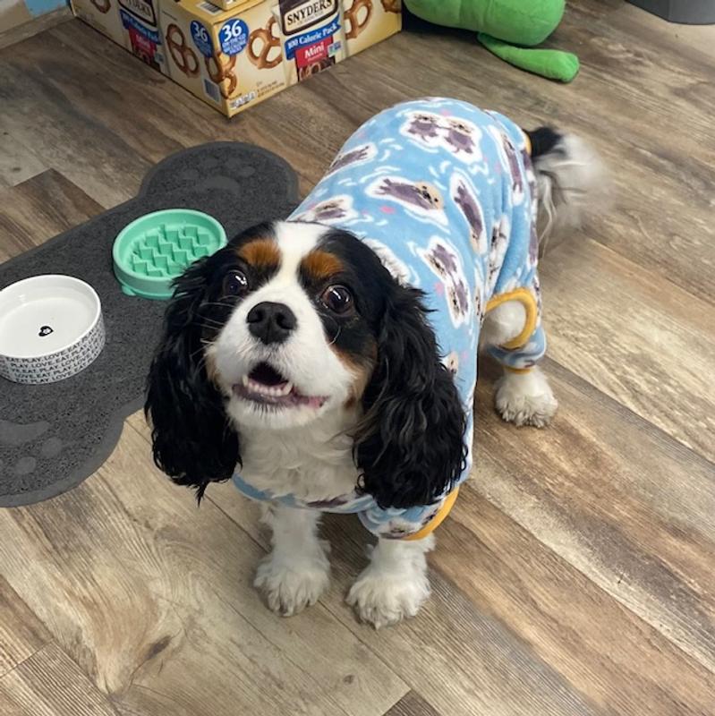 Ella in her Cozy New Jammies