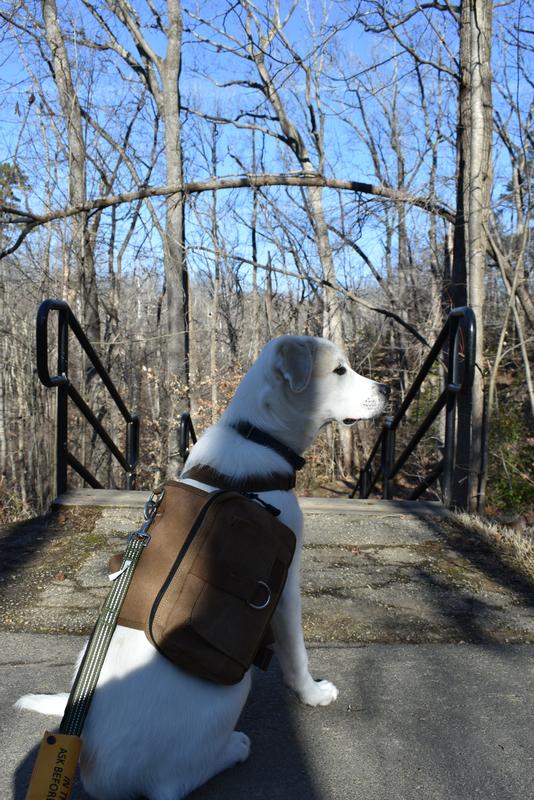Cotton Canvas Dog Backpack, Brown