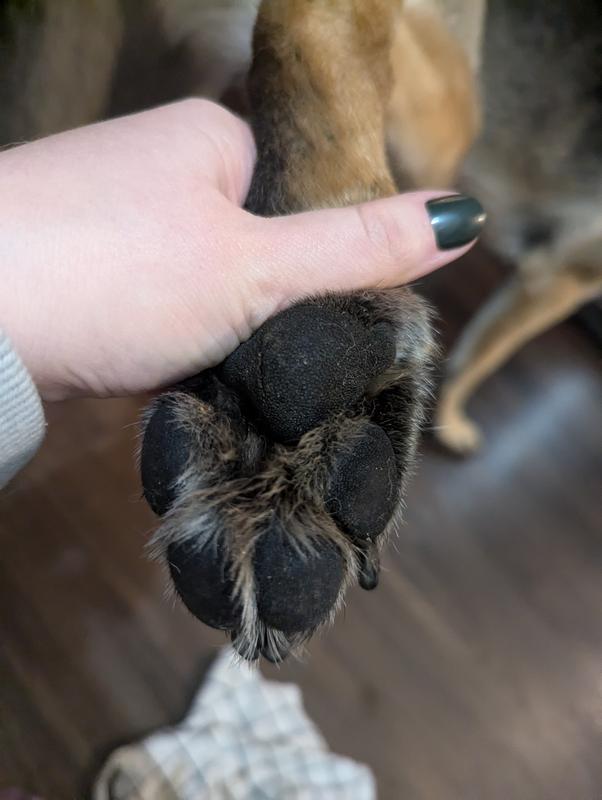 Here's Fred showing off his moisturized toe beans