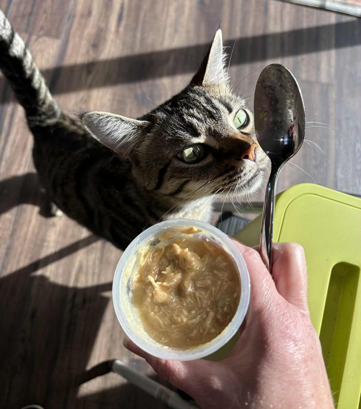 Even my pickiest eater, Francis wants some!