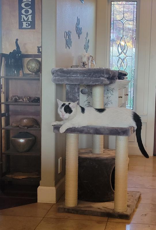 FRISCO 42in Heavy Duty Faux Fur Cat Tree & Condo, Gray