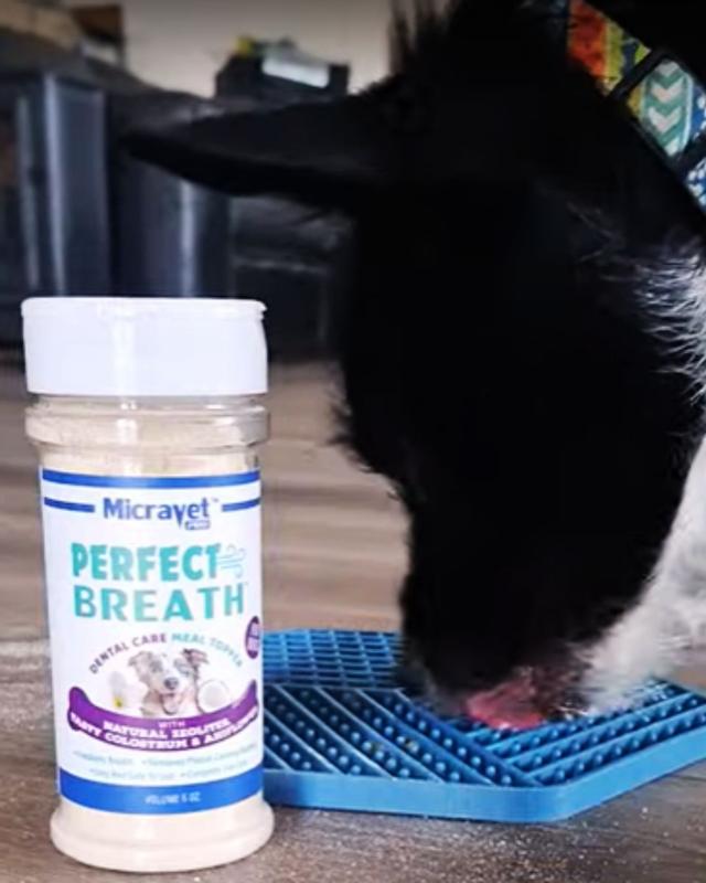 Fresh breath with no stress