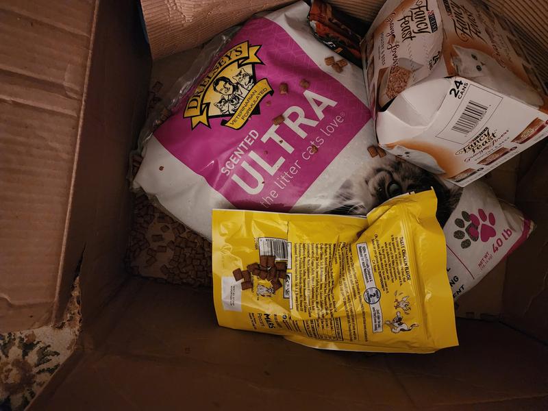 Treats scattered everywhere