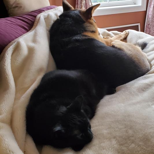 Levi and Jetsie cuddling