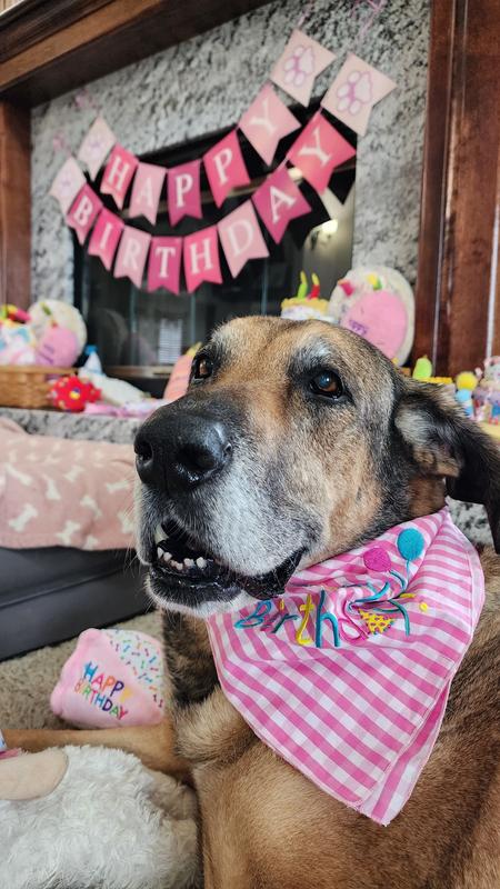 #12 Birthday for Lily