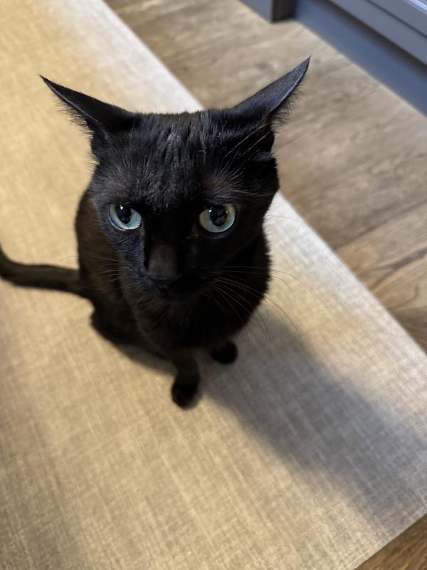 still a little bit of dust head hehe