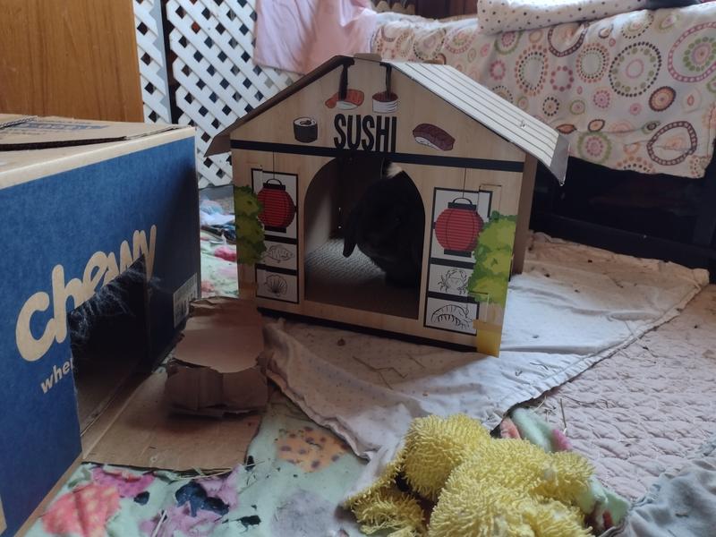 Lucy and Dan hiding in the Sushi House.