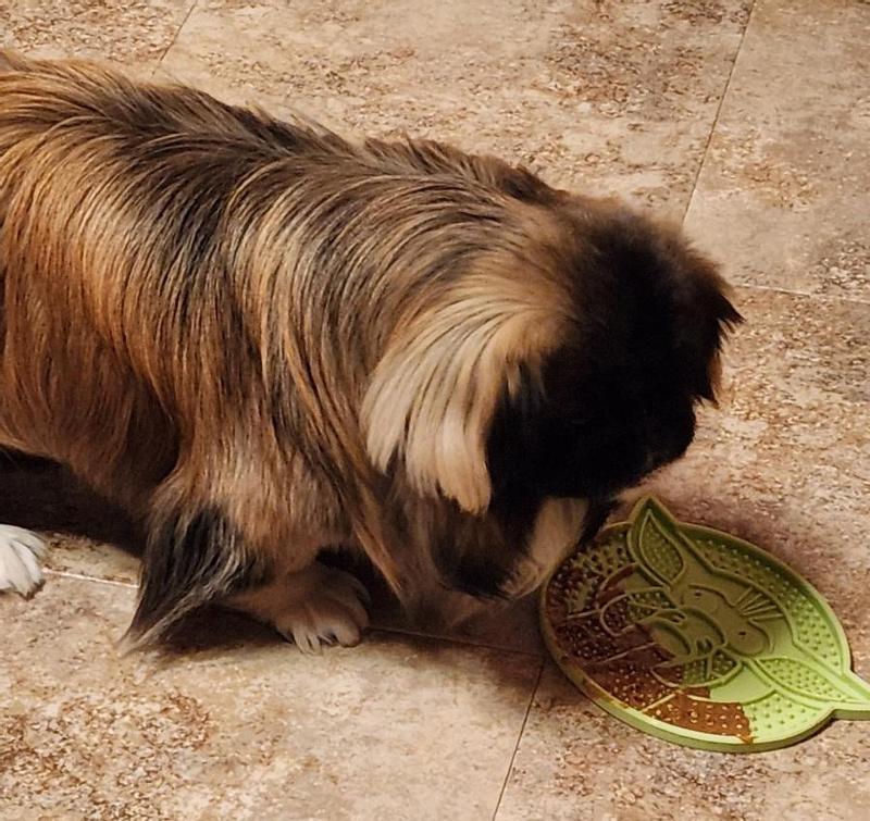 Loves his new lick pad :)