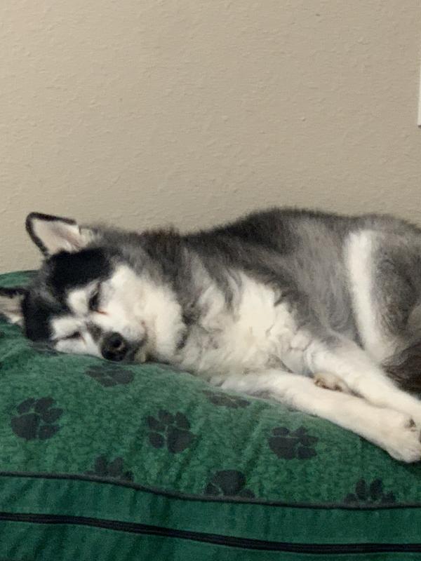 Contentment for an old man