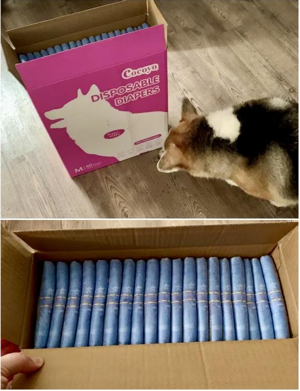 Big Box of Diapers!