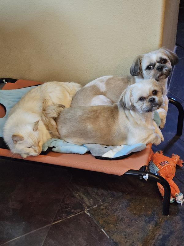 Enjoying our Frisco Bed