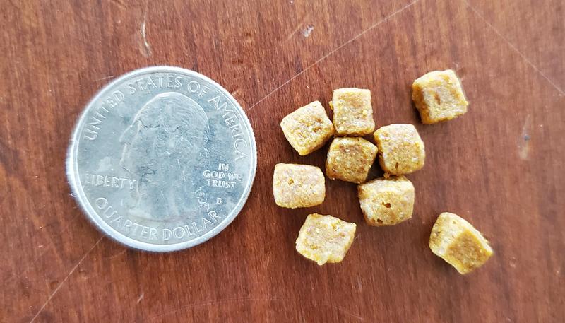 Quarter for size comparison