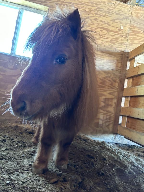 She is happy she doesn’t have to miss a feeding