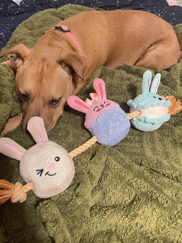 My dog tired after playing for a while featuring toy