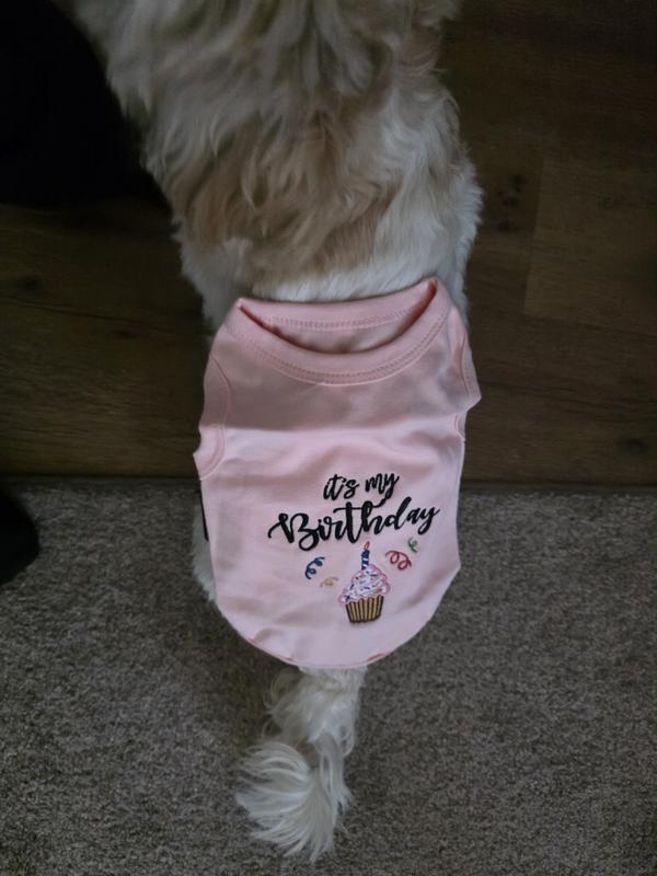 This is NOT a medium .