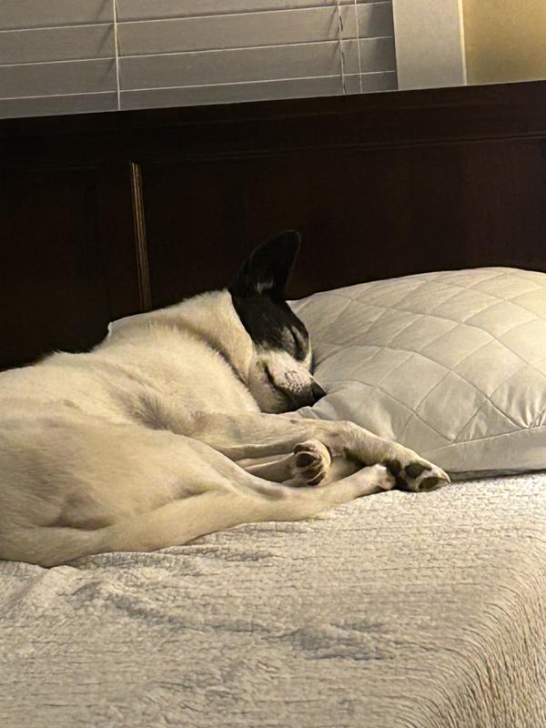 Not spoiled at all!!!!😝