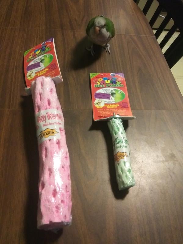 Size of large vs. Small vs. Adorable Quaker