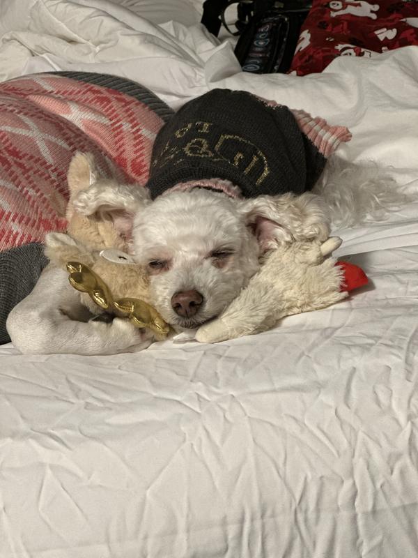 BOSS LADY Sophie