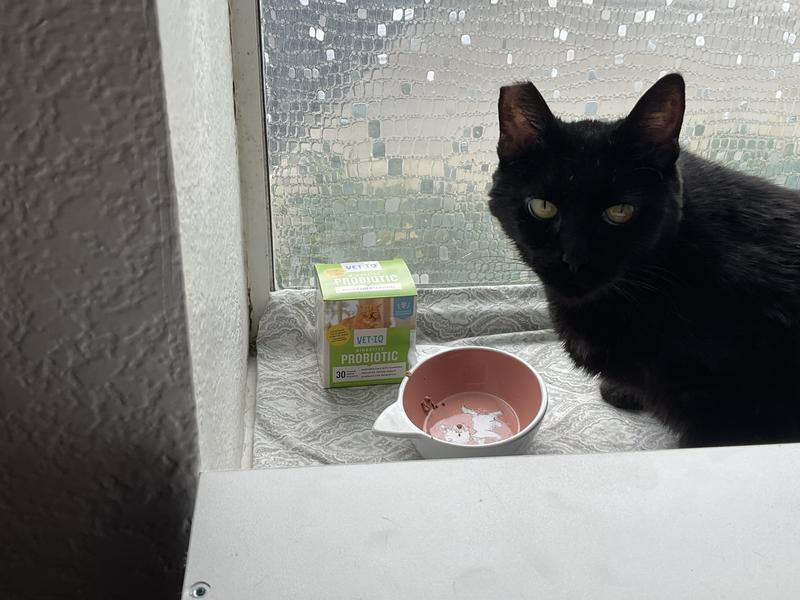 Mom I’m all done, seconds please