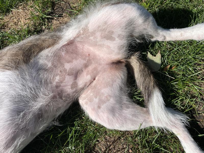 Skin is much clearer than before