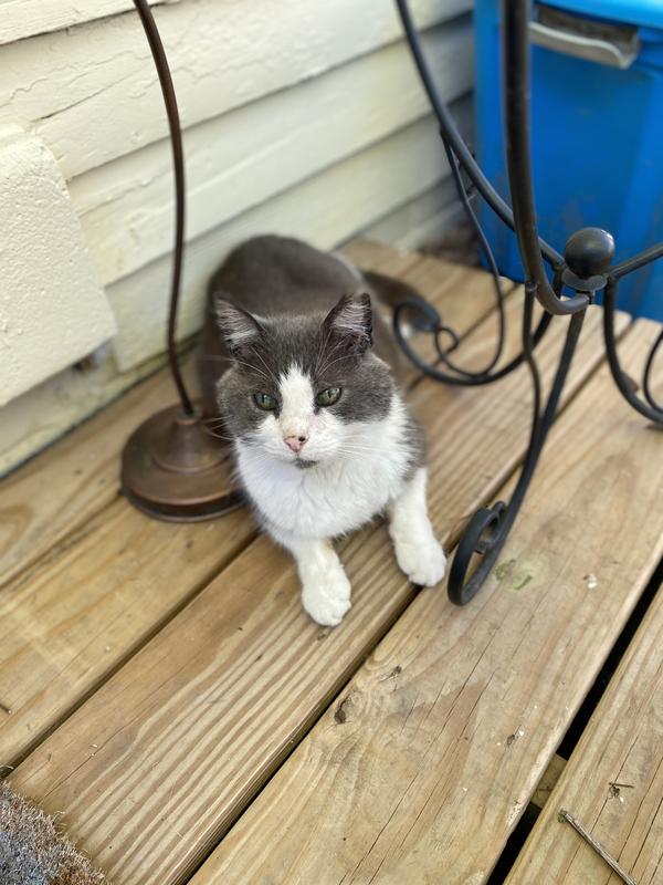 Suzy always looks like she is up to something, probably because she is!