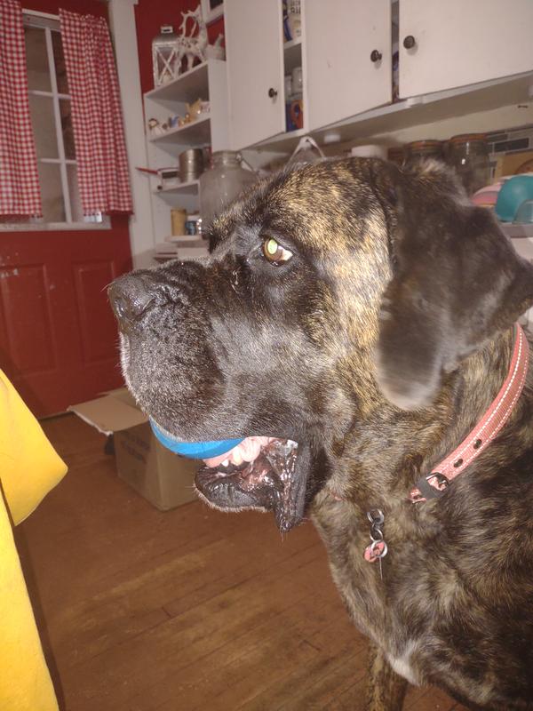 Doesn't want to share 😂