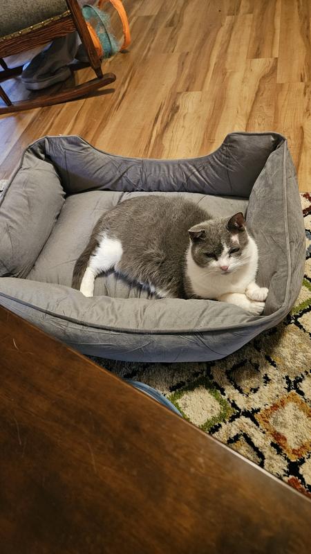 Kitty relaxing in luxury