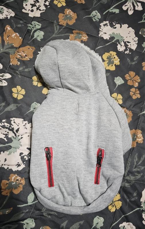 Frisco Pardon My Swag Dog & Cat Hoodie