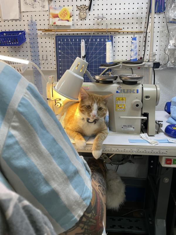 Gus getting in to trouble at work.