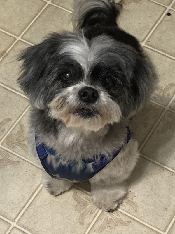 “Yum”..says Buddy.