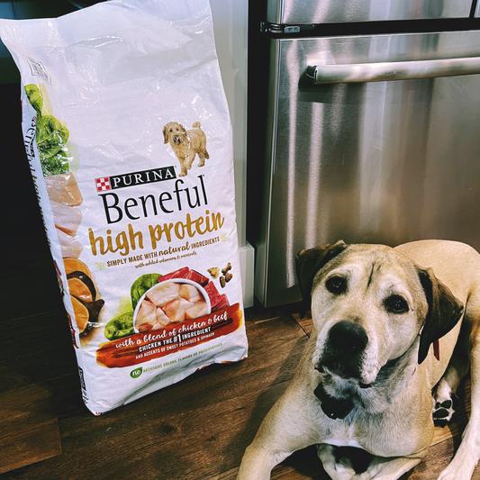 Beneful dog clearance food rating