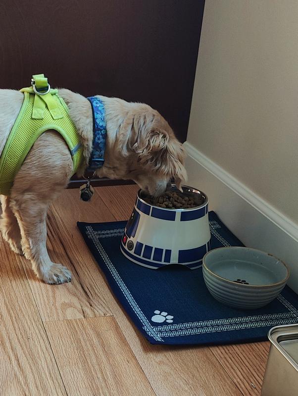 The Artoo Detoo: Non-Slip Dog Bowls