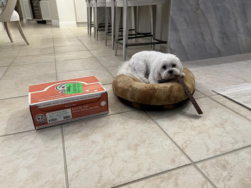 To give a perspective on size!