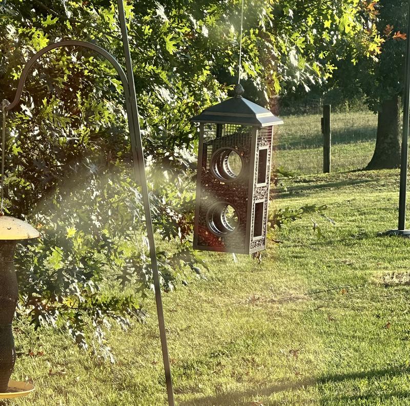 Cute feeder works well