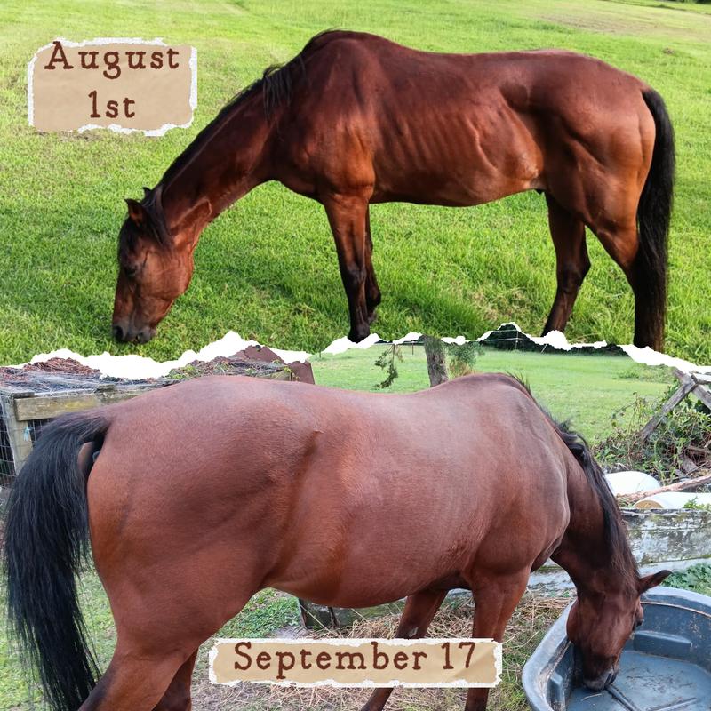 It made a huge difference for my 32 year old with tooth loss!