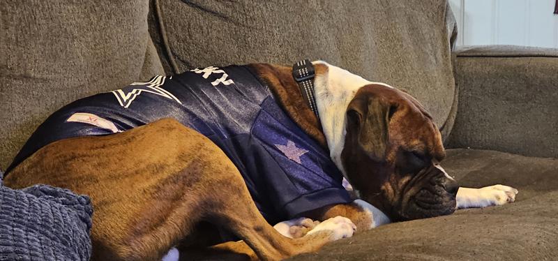Officially Licensed NFL Stretch Pet Jersey in XL