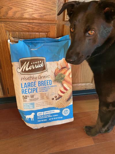 Merrick Healthy Grains Large Breed Recipe Adult Dry Dog Food, 30