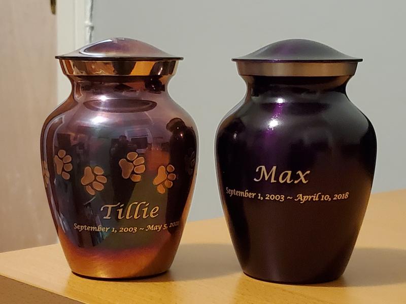 Chewy pet sale urns