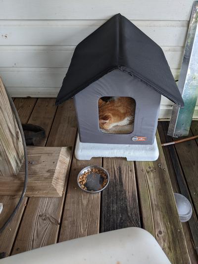 Heated Insulated Cat House