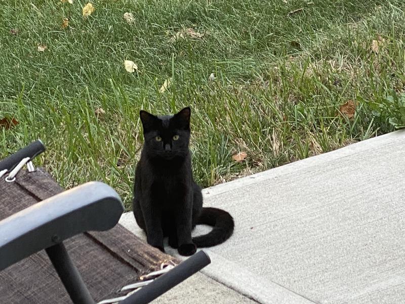Waiting to come inside to live.