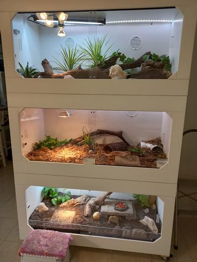 DRAGONHAUS Terrestrial Reptile Habitat, White, 48 x 24 x 12-in - Chewy.com