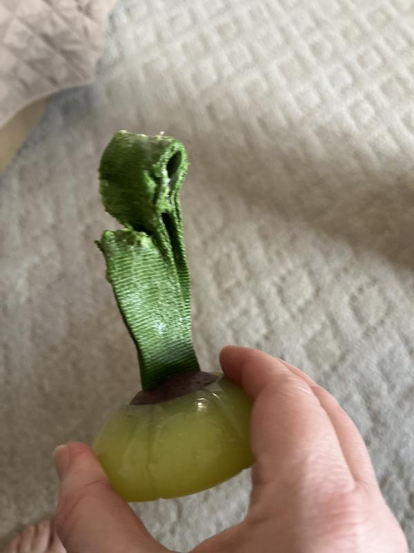 After 10 minutes with the toy