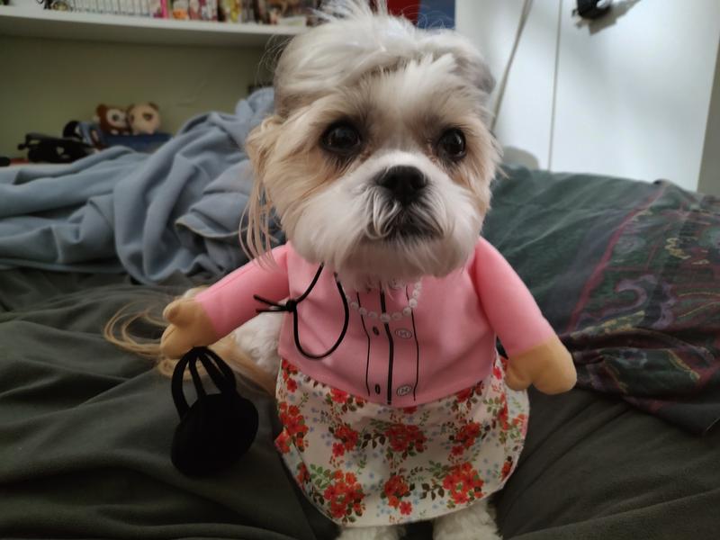 Grumpy little lady