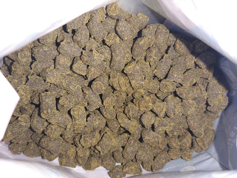 Earth Animal Wisdom Air-Dried Dog when bag was first opened.