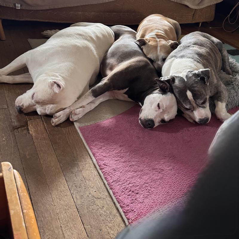 All my babies!