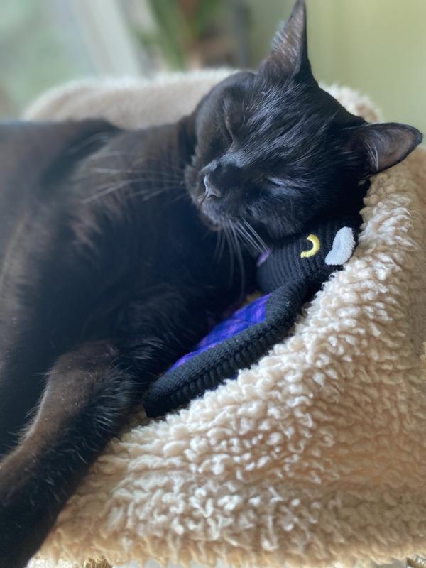 Batty with her bat.